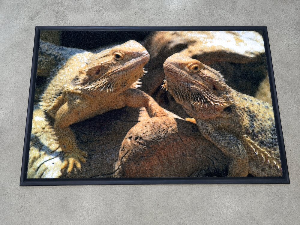 Photo-printed doormat of lizards basking on a rock